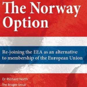 The Norway Option