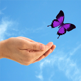 butterflyhands