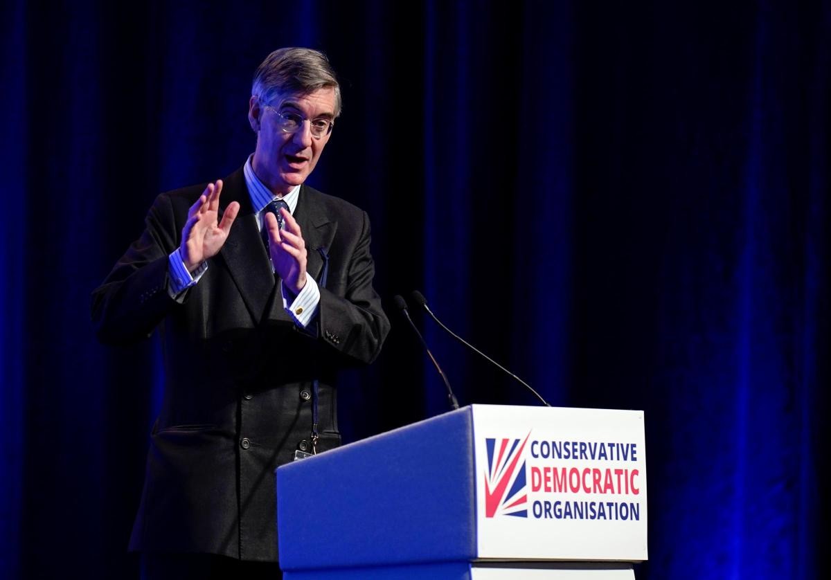 What did we learn about the Conservative Democratic Organisation and Moggmentum