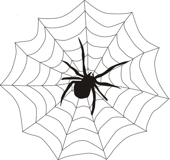 spider-155449_1280